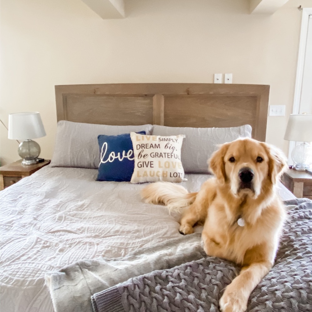 Blue LOVE Accent Pillow Cover (cover only)